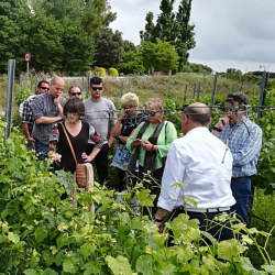 Visita guiada a Bodegas Costers del Sió | Siós Experience