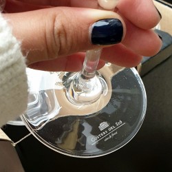 6 copas de vino Costers del Sió