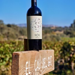 Siós Cau del Gat 2020 Crianza Wine | DO Costers del Segre