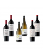Wine Packs Costers del Sió Winery | DO Costers del Segre