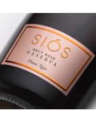Comprar vino espumoso rosado | Costers del Sió | DO Costers del Segre