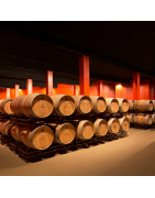 Visitar Celler Costers del Sió | DO Costers del Segre